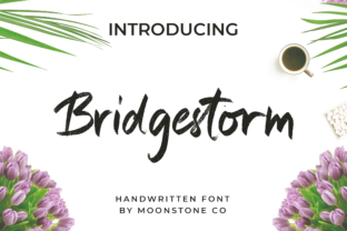 Bridgestorm: Elevate Your Designs with Romantic Handwritten Charm