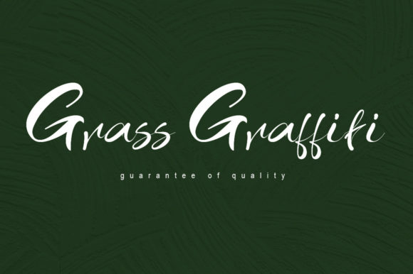 Grass Graffiti: A Handwritten Font for Modern Design